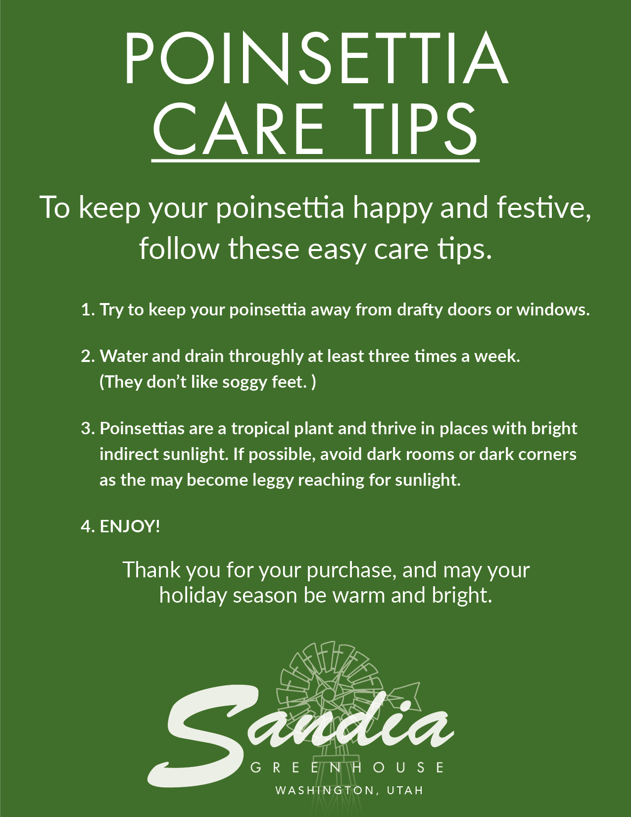 Poinsettias care tips