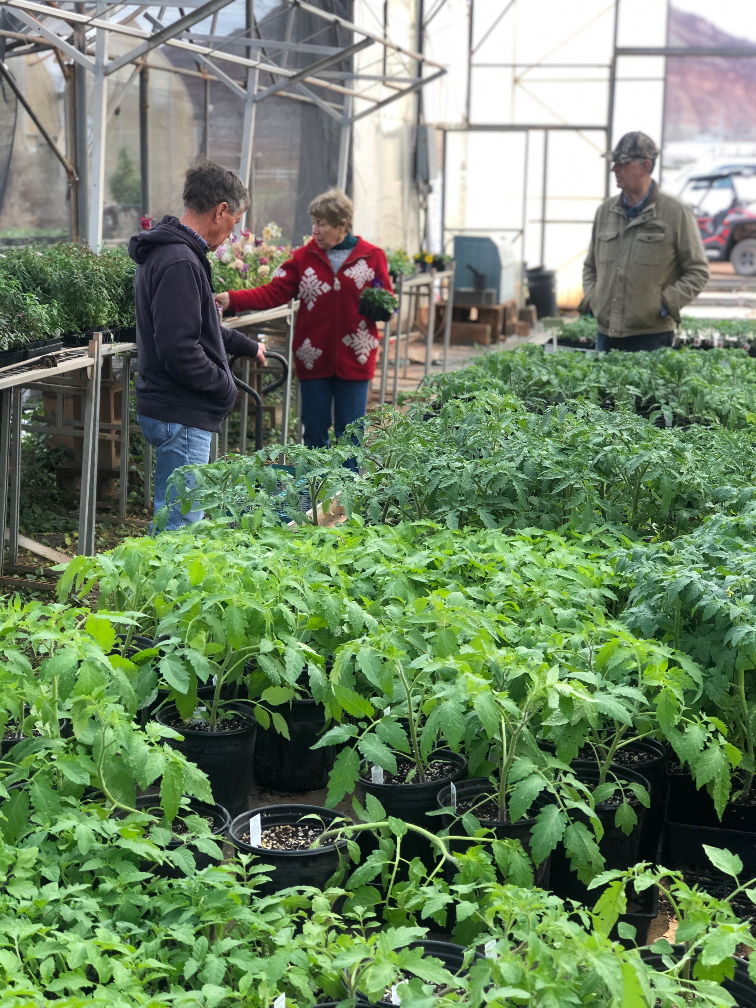 sandia greenhouse interior