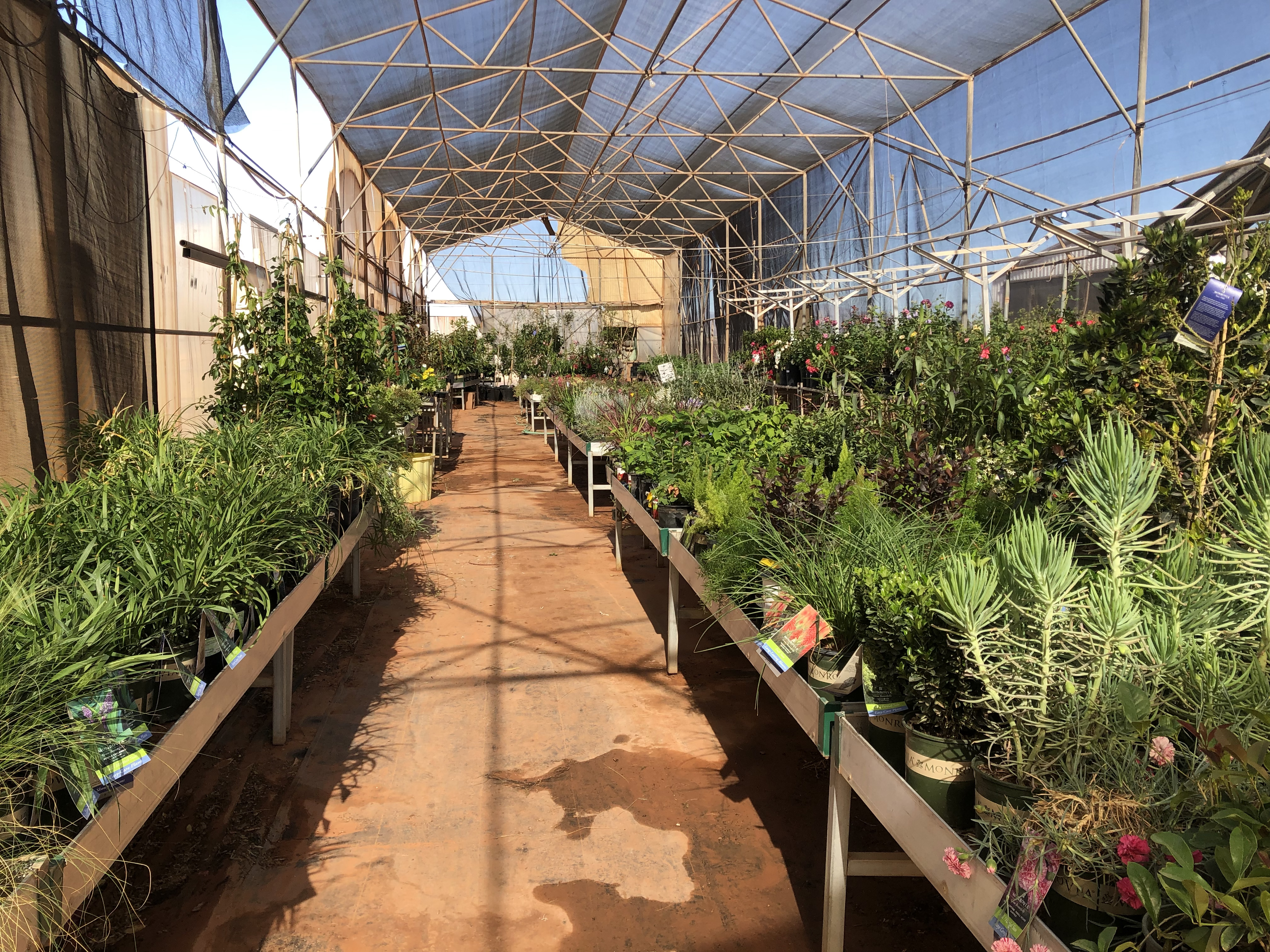 interior of sandia greenhouse